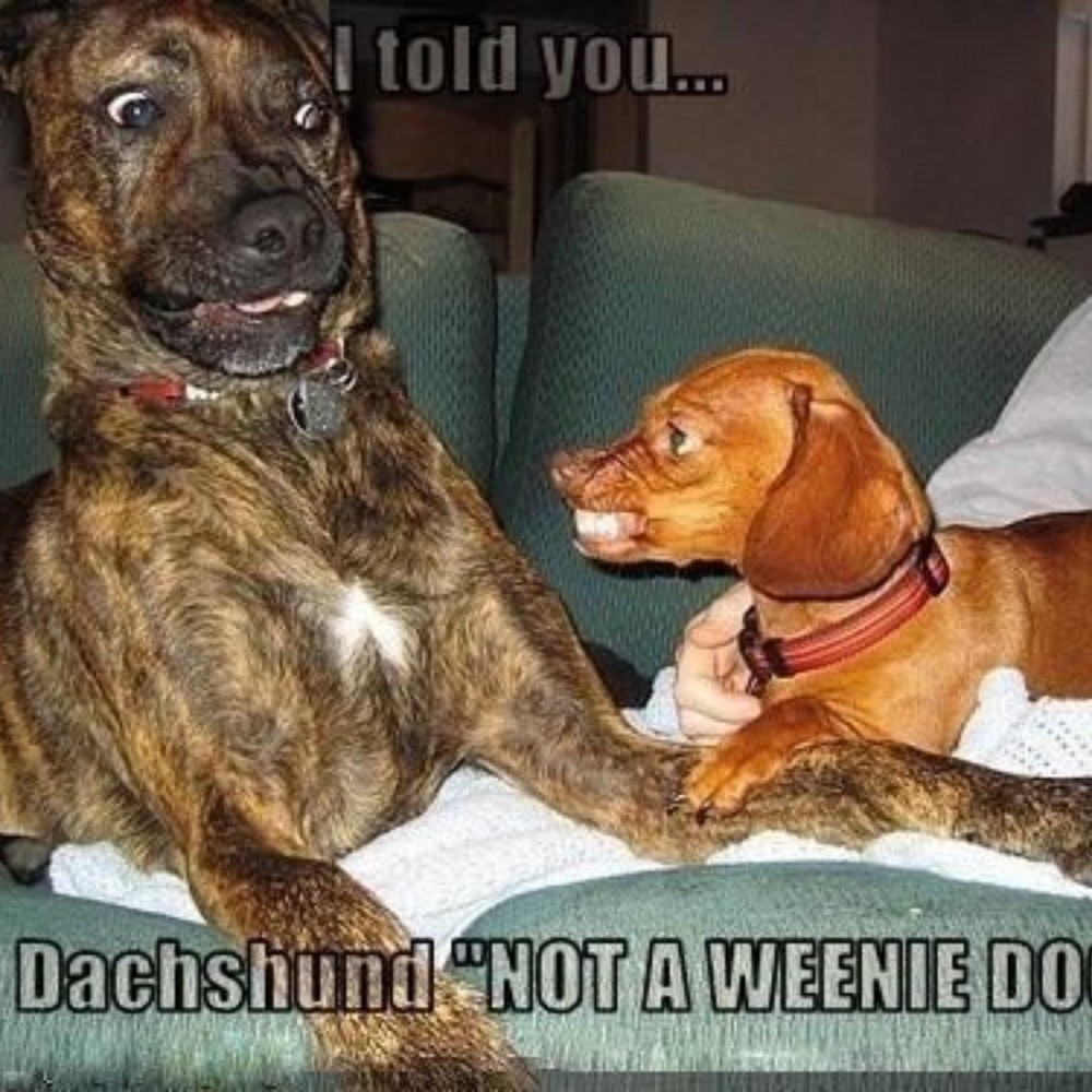 Meet your Posher, Candy